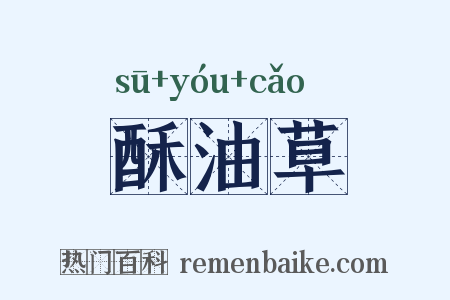 酥油草是什么意思的图片